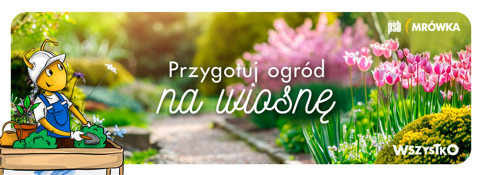 Grupa PSB mrowka Mrówka Sulęcin