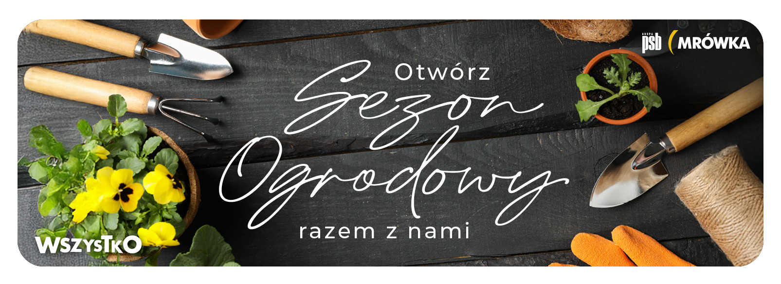 Grupa PSB mrowka Mrówka Sulęcin