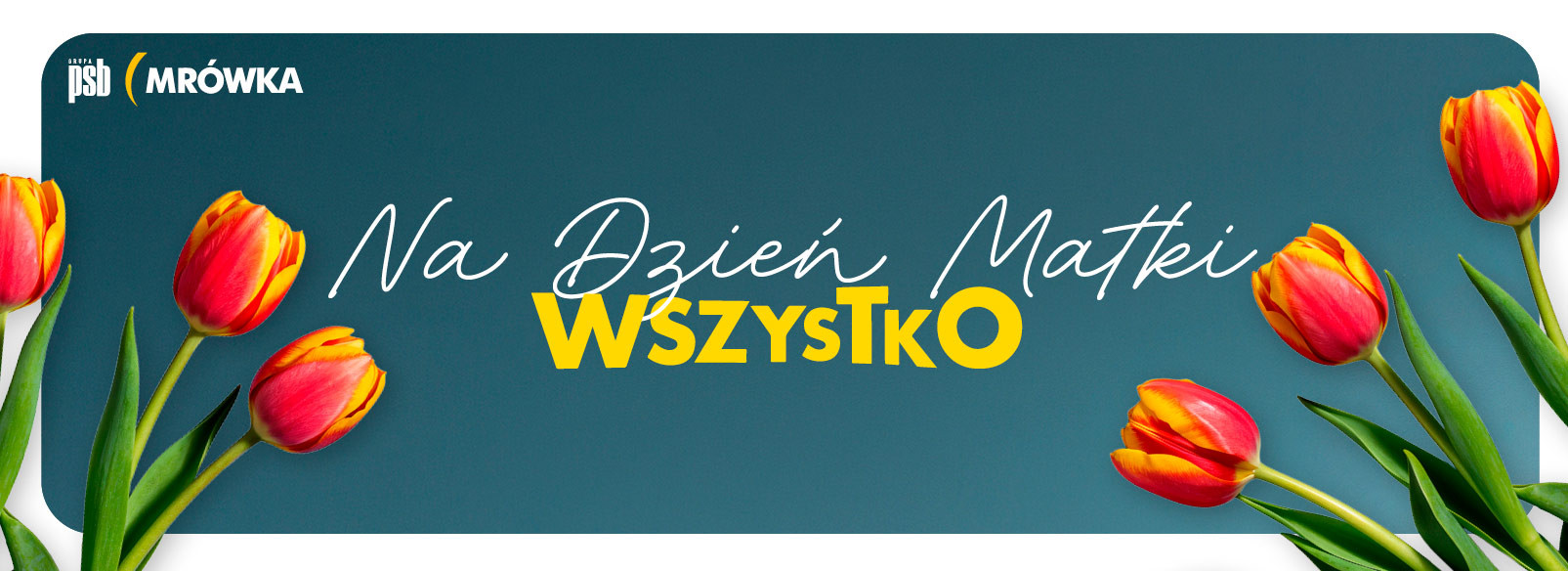 Grupa PSB mrowka Mrówka Sulęcin