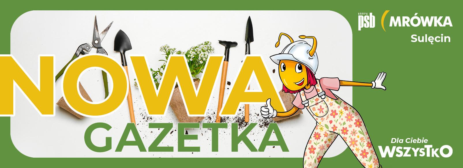 Grupa PSB mrowka Mrówka Sulęcin