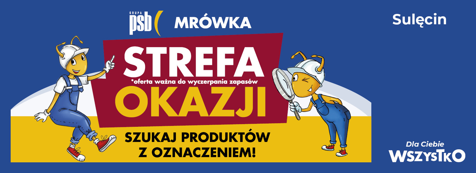 Grupa PSB mrowka Mrówka Sulęcin